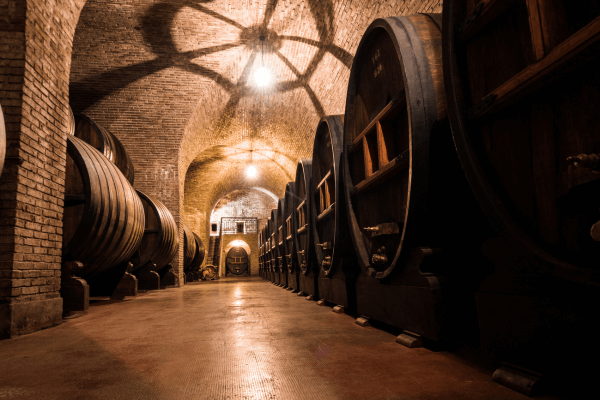 Destinos Vinícolas: Descubra as Regiões que Produzem os Melhores Vinhos do Mundo